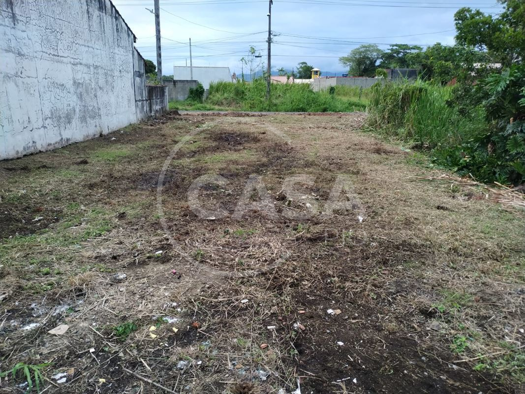 Terreno Maria Helena Novaes - Peruibe (Cód. 93) - miniatura 10