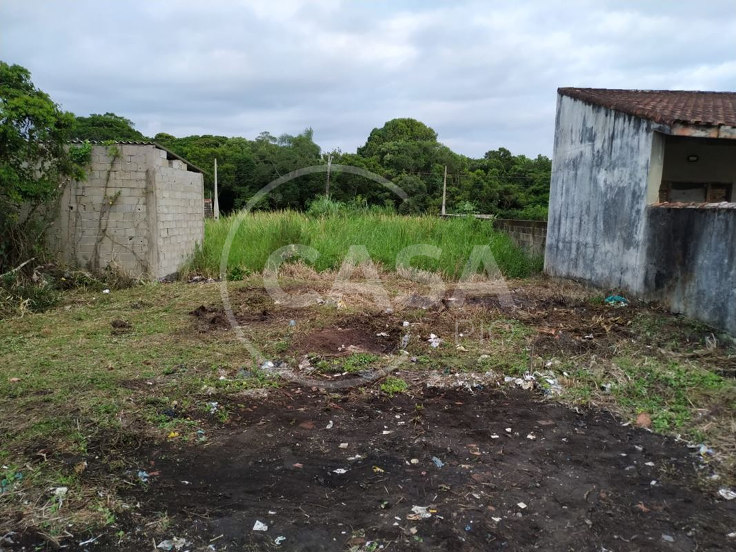 Terreno Maria Helena Novaes - Peruibe (Cód. 93) - miniatura 11