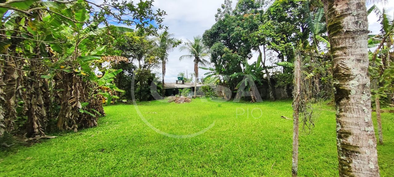 Casa,Chacara Antônio Novaes - Peruibe (Cód. 386) - miniatura 11